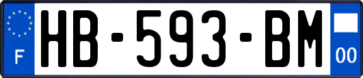 HB-593-BM