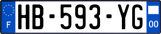 HB-593-YG