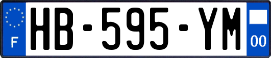 HB-595-YM