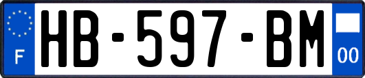 HB-597-BM