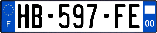 HB-597-FE