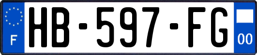 HB-597-FG