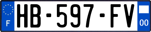 HB-597-FV