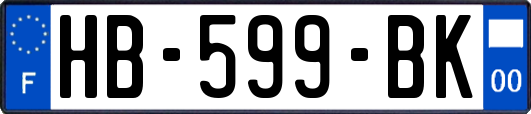 HB-599-BK