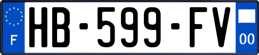 HB-599-FV