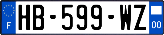HB-599-WZ