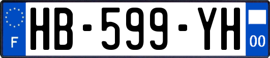 HB-599-YH