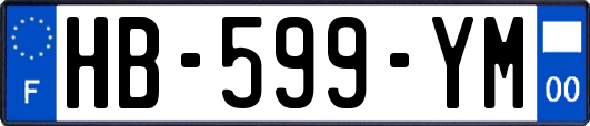 HB-599-YM
