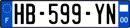HB-599-YN