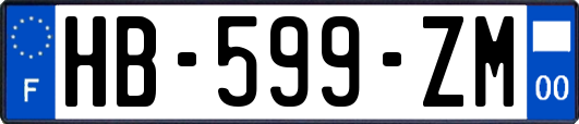 HB-599-ZM