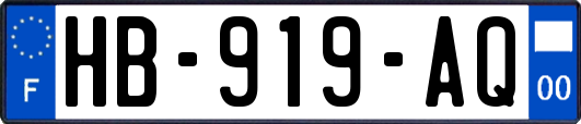 HB-919-AQ