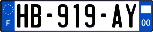HB-919-AY