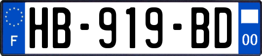 HB-919-BD