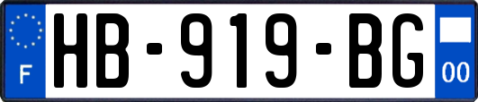 HB-919-BG