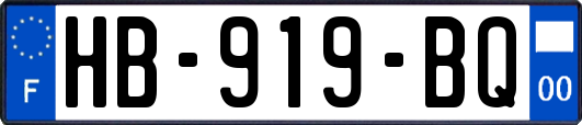 HB-919-BQ