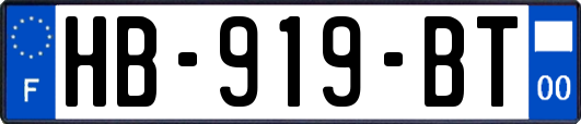 HB-919-BT