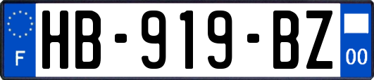 HB-919-BZ