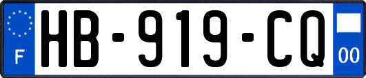 HB-919-CQ