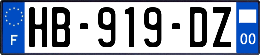 HB-919-DZ