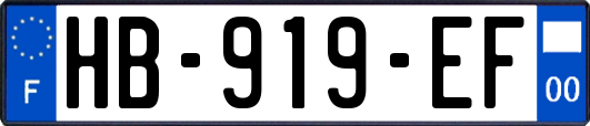 HB-919-EF