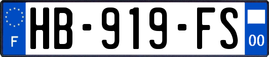 HB-919-FS