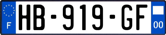 HB-919-GF