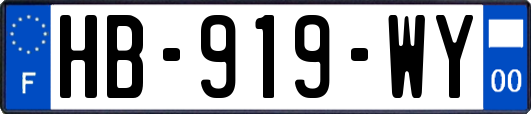 HB-919-WY