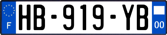 HB-919-YB