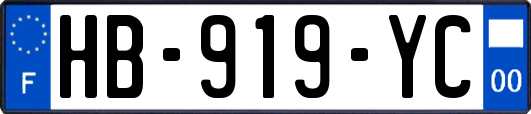 HB-919-YC