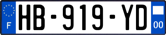 HB-919-YD