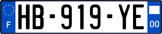 HB-919-YE