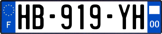 HB-919-YH