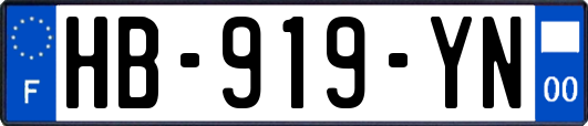 HB-919-YN
