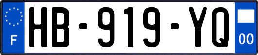 HB-919-YQ