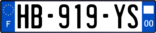 HB-919-YS
