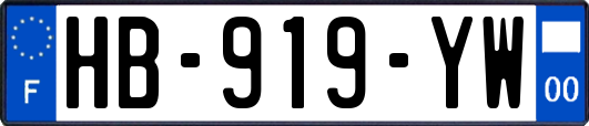 HB-919-YW