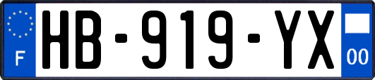 HB-919-YX