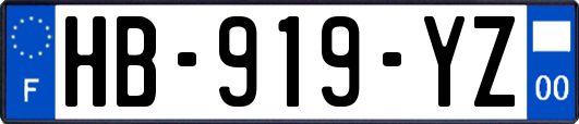 HB-919-YZ