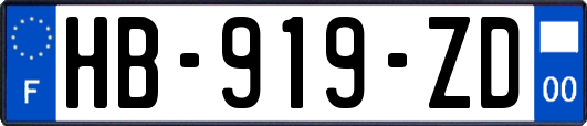 HB-919-ZD