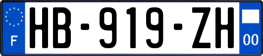 HB-919-ZH