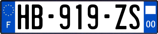 HB-919-ZS