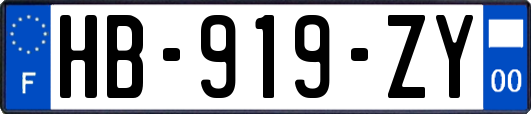 HB-919-ZY