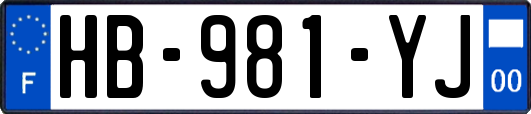 HB-981-YJ