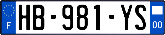 HB-981-YS