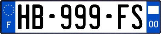HB-999-FS