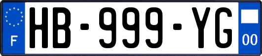 HB-999-YG