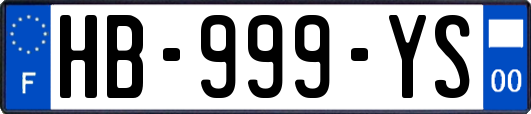 HB-999-YS
