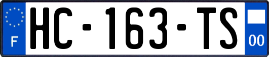 HC-163-TS