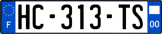 HC-313-TS