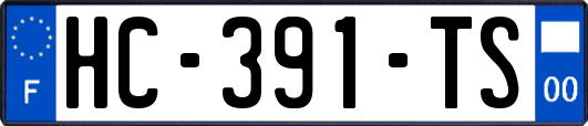 HC-391-TS